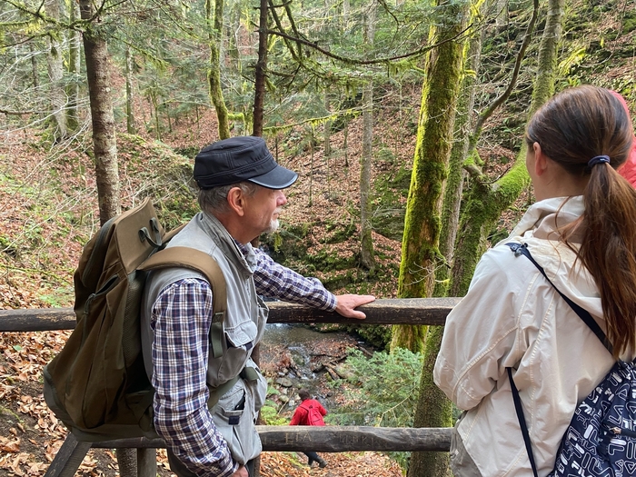 ������� ������� � �����������