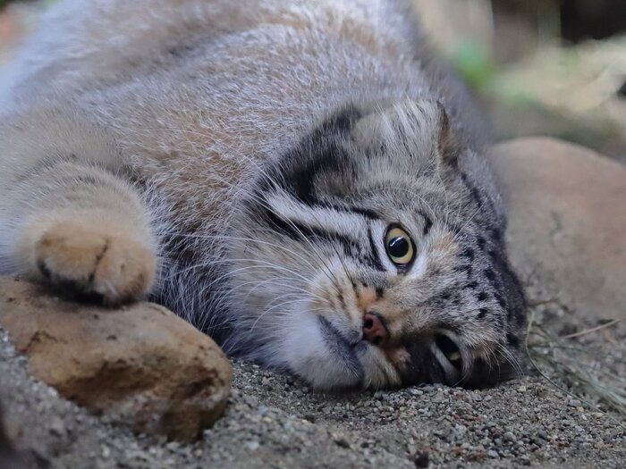 ������� ���-��...