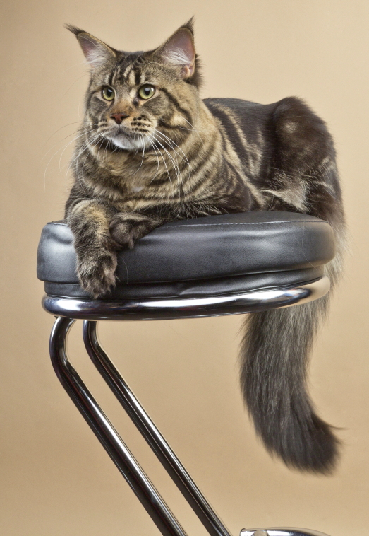 �� ���������� �����������.