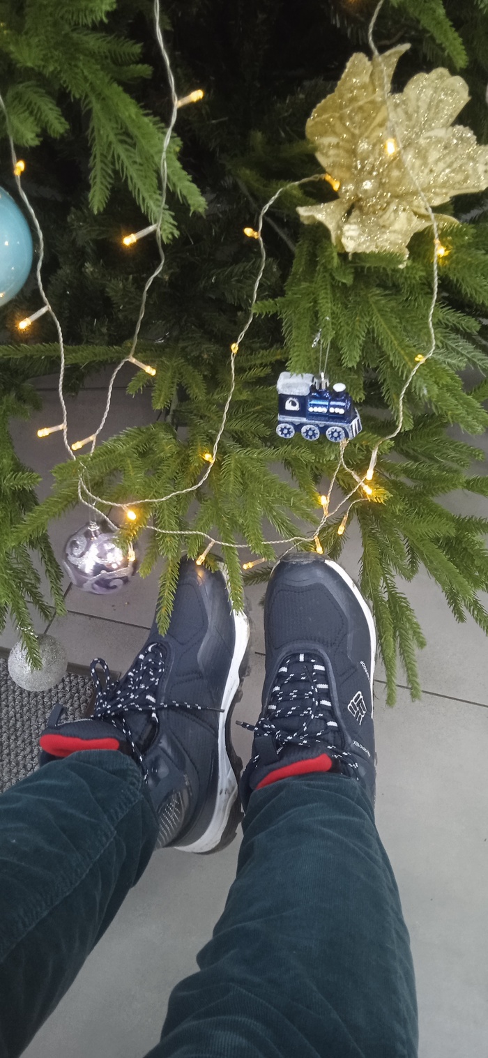 � � ���� ������ ������� �������-�� ������, �������, �������� �� ���� �������. ������� ����