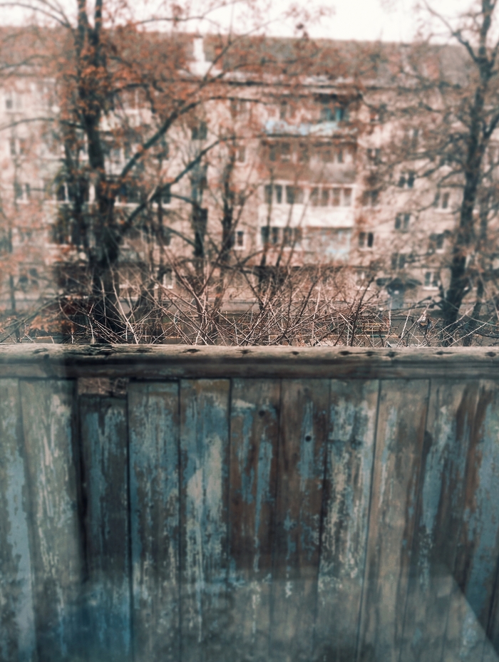 ������ ����������