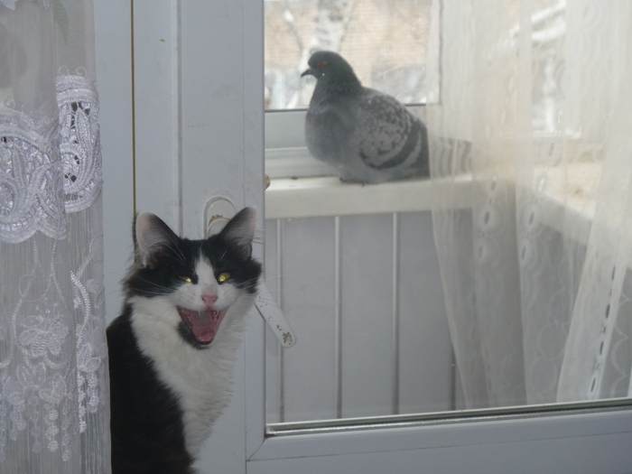 �������� ������, ����, �� ��� ��� ���������!