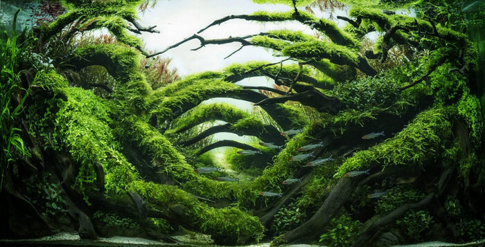 ���� ��� ����������� ��������. ��� � �� ��������� ����, � ��������. 