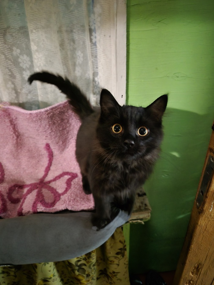 ������ ���� ���