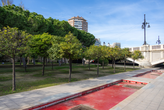 ���� �����