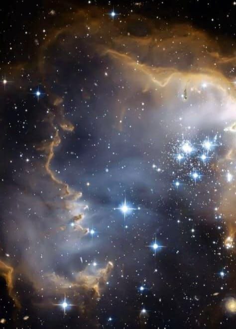 ������ ����������/ �. �������