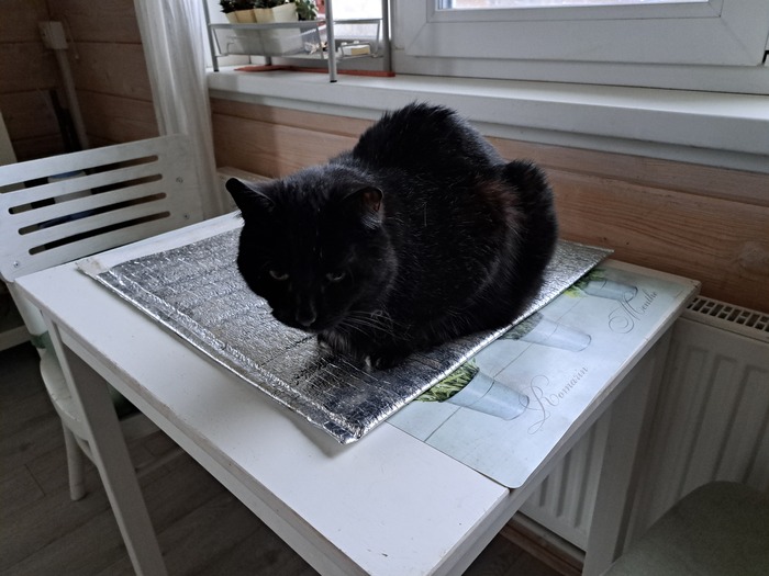 "������"