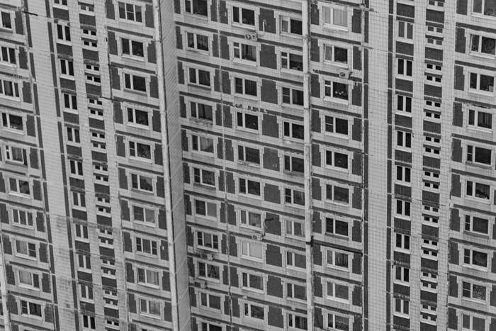 ���� ���������