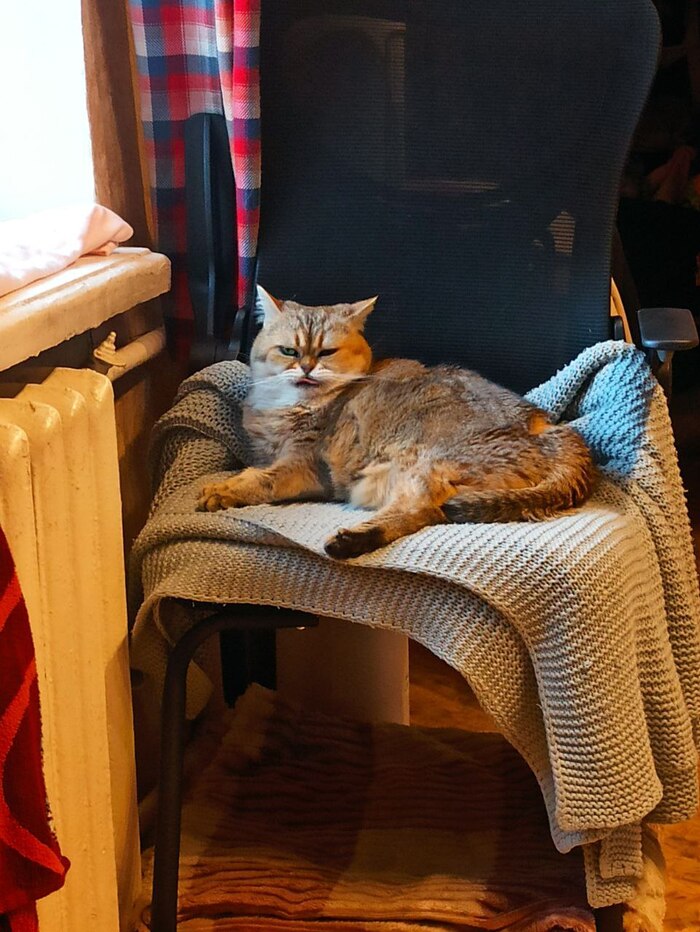 ������ �������