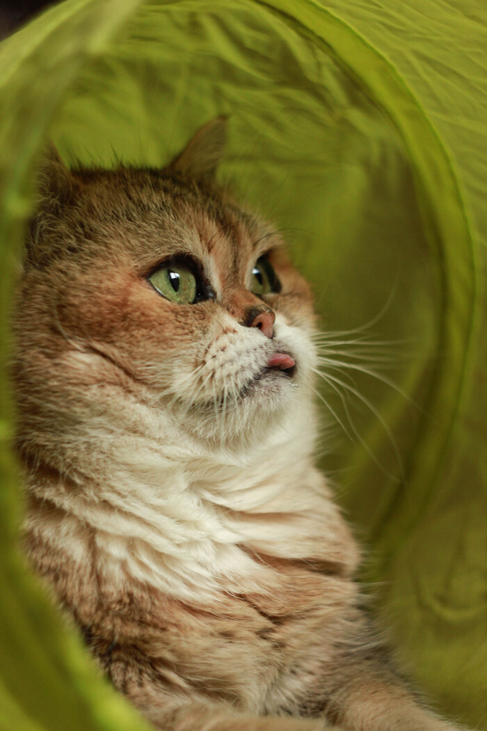 ������ ������ � ������