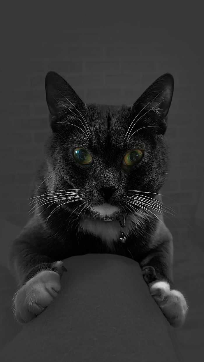 �� ������, �� ������������ ���� ����� ����