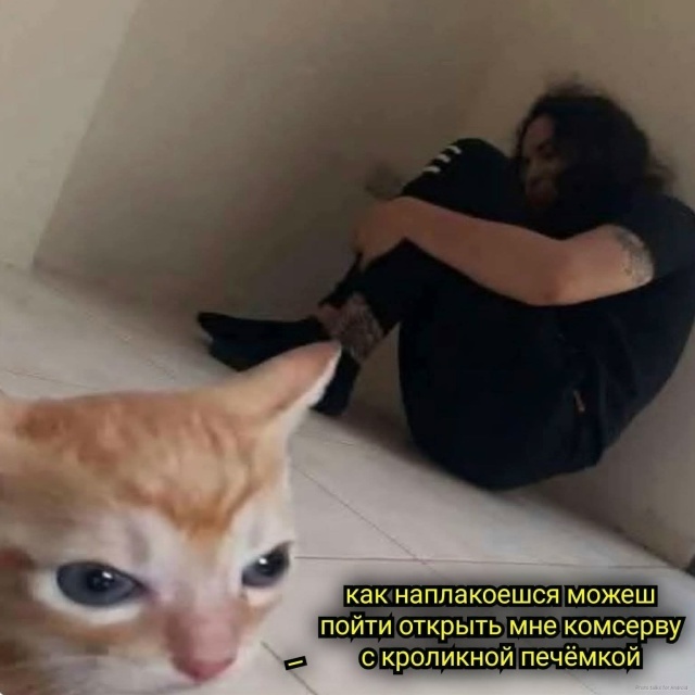 ������ ��������� �������