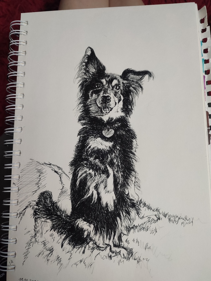 ������ �����