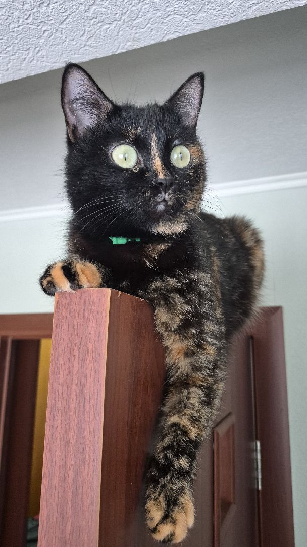 ����� �� ���� ���� ������ ���� ����