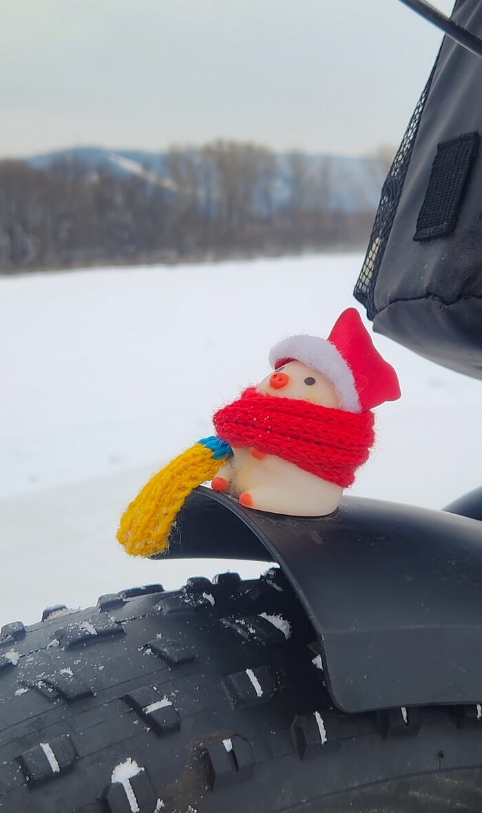 � � �����������!