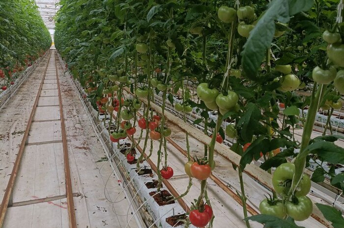 �������� ������: ������� �� ��������� �������