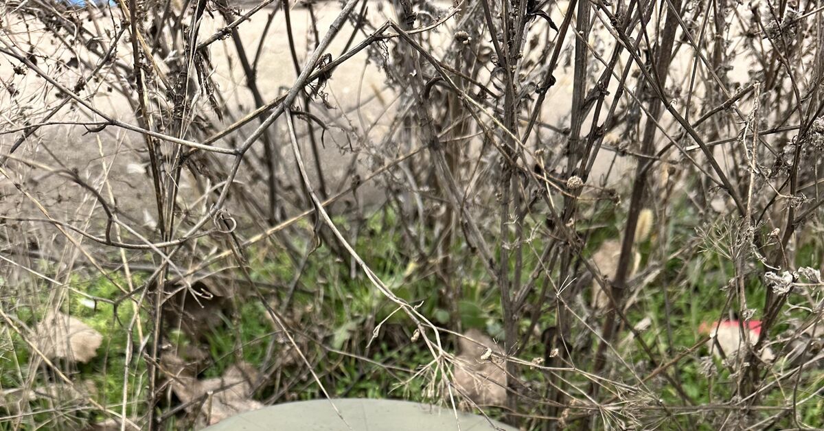 Еще один американский «подарок» и др