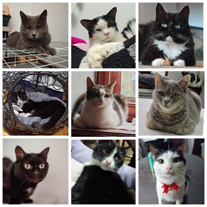 9 ����� �� "���������" ������ ���� ���!