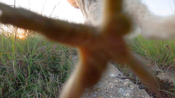 ���� ���������� �� ������ ���� �� ������ � VR �����, �� ����� � ������ �����. ����� ������������ ����� "�����".