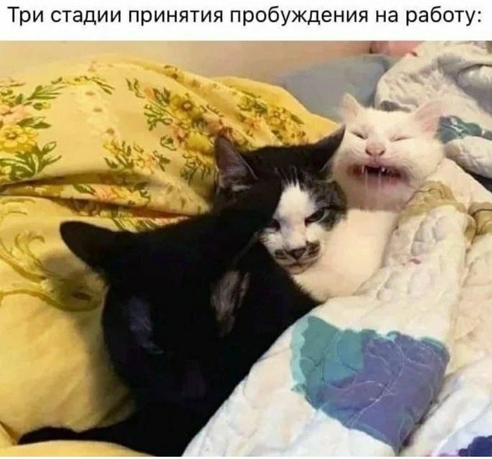 ����������� �� �������