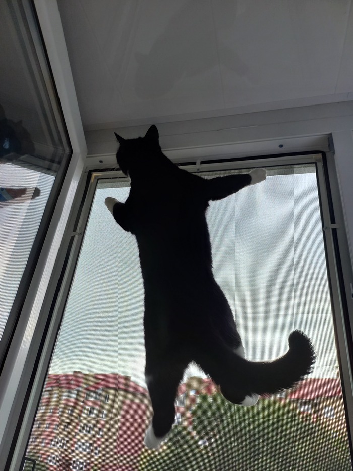 ����� �� ���� ���������� �� �� ������ ������� ���� ����. ���� � �� ��. ������� � ������ ����. �������� ���!�