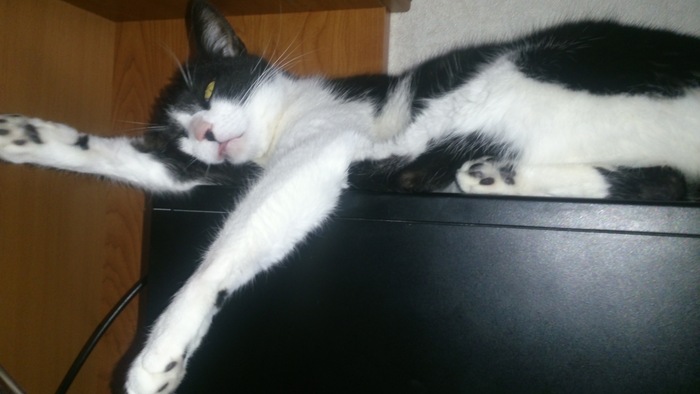 ����� �� ���� ���������� �� �� ������ ������� ���� ����. ���� � �� ��. ������� � ������ ����. �������� ���!�