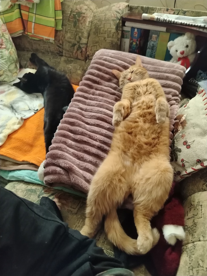 ���� ��� - ������ �������. ������ ���