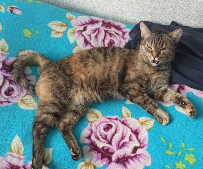 ����� HappyDecember � ���������� �� �� ������ ������� ���� ����. ���� � �� ��. ������� � ������ ����. �������� ���!�