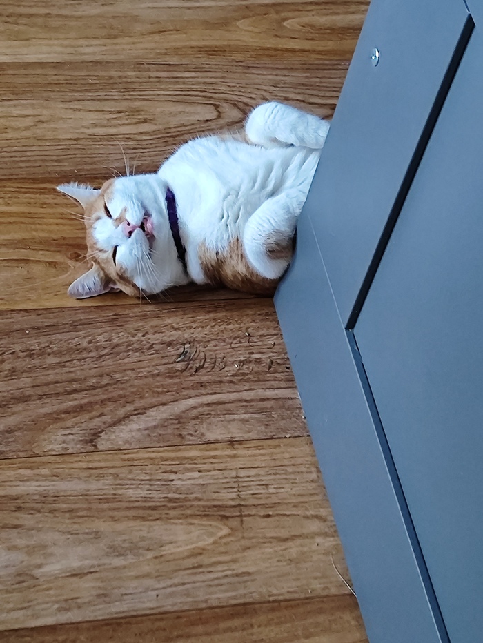 ������ ���� ����. �� ������ ��������