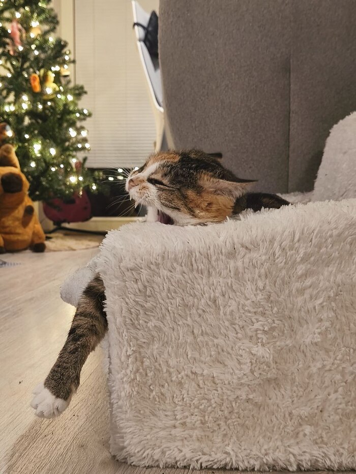 ����� �� ���� ���������� �� �� ������ ������� ���� ����. ���� � �� ��. ������� � ������ ����. �������� ���!�