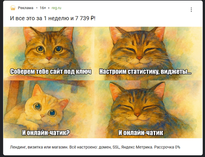 ����� ������ ���� ������� ))