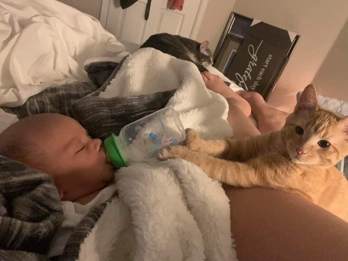 � ��� ��������� �������� ������ ���� � ��������?