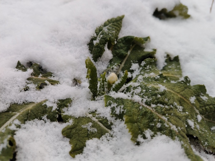 �������, � ��� ����... ��� ����� �������) 