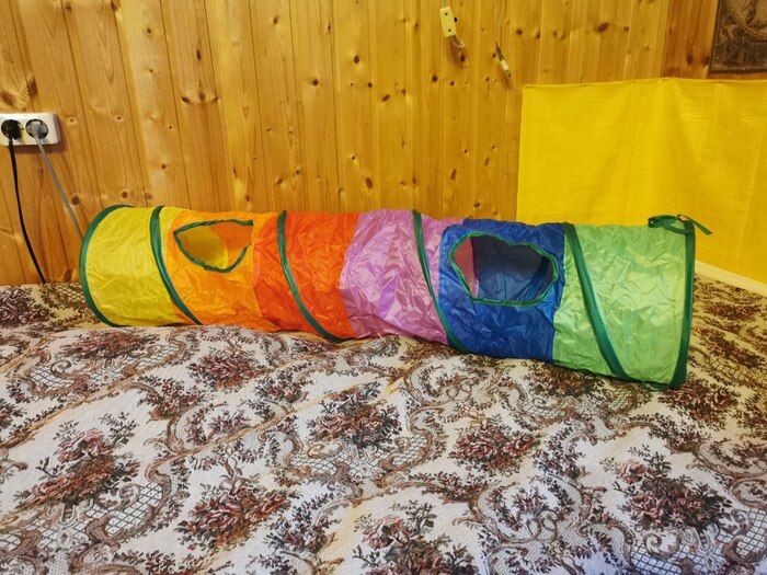 ������� �������� ���� ������ �������, ������� ����� ���������)