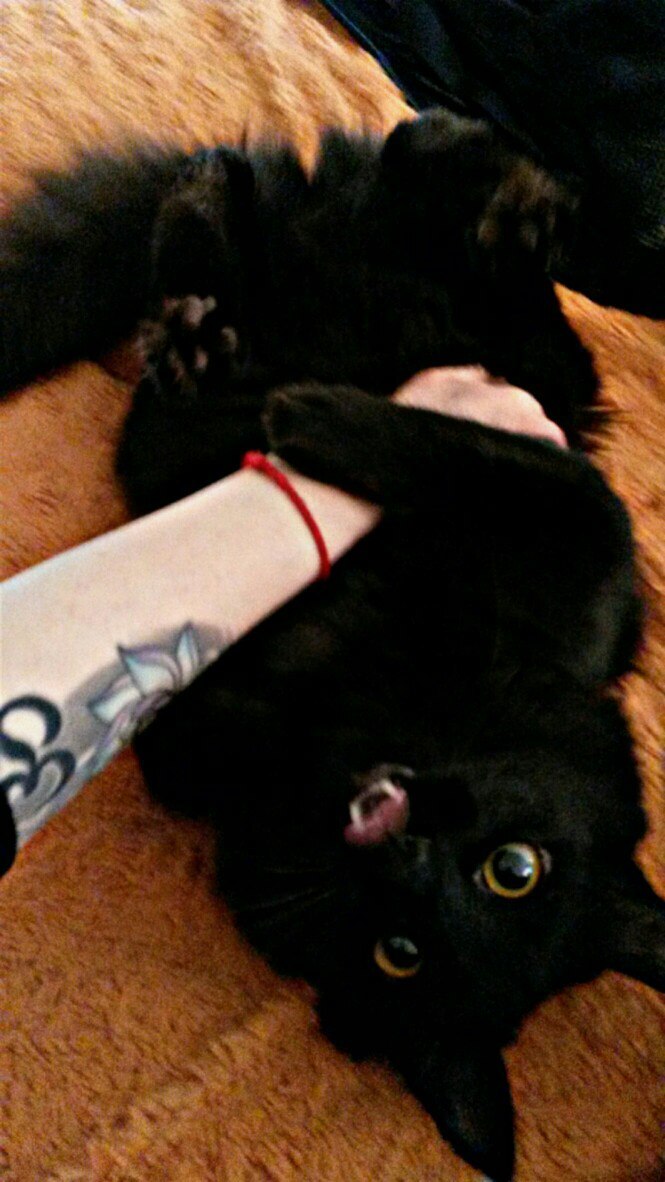 ����� �� ���� ���������� �� �� ������ ������� ���� ����. ���� � �� ��. ������� � ������ ����. �������� ���!�