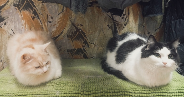 ���� �� ����� ������-�� �����, � ������ ���� ��������, �� �� ������ ��������� ������� ��� �� ����������, ��� ������� ����