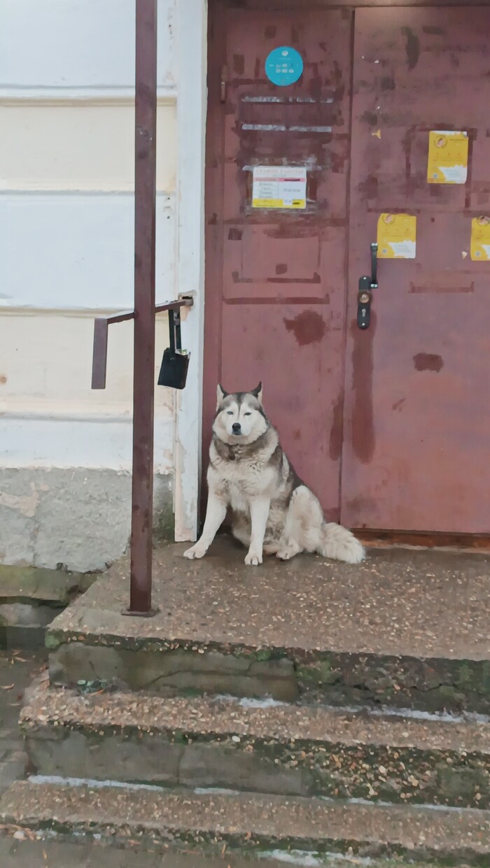 �� ���������� ������-����� (�� �� ���������� ����) ������� ����� ������������� ������, ��������� ������, ���� ����� ����� ��������� ��� �� ���� ��� ��� ����.