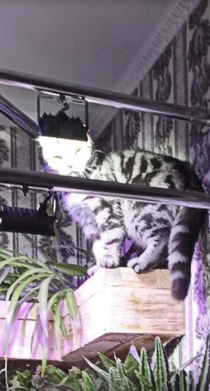 ����� �� ���� ���������� �� �� ������ ������� ���� ����. ���� � �� ��. ������� � ������ ����. �������� ���!�