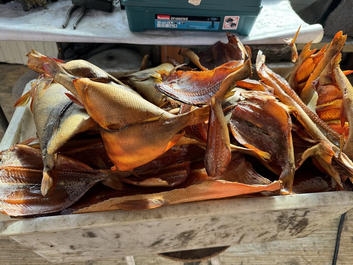 � ��� ������, ����� �������� ��������!