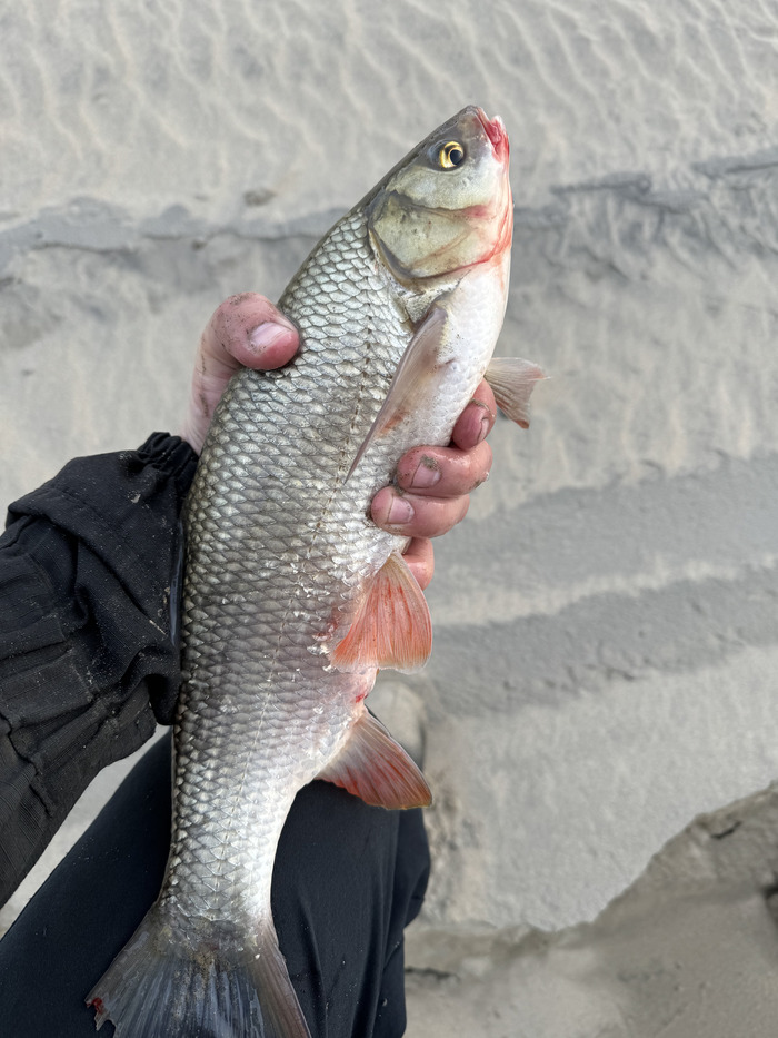 � ��� � ������ ����, ���! ����������� �����))