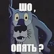 ������ ������������ mishutkinsss