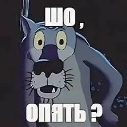 mishutkinsss