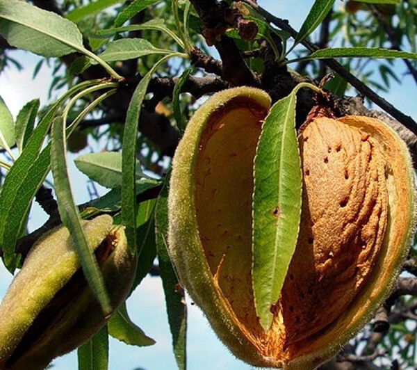 ��� ��� ������ ����� �� ������ ��������.