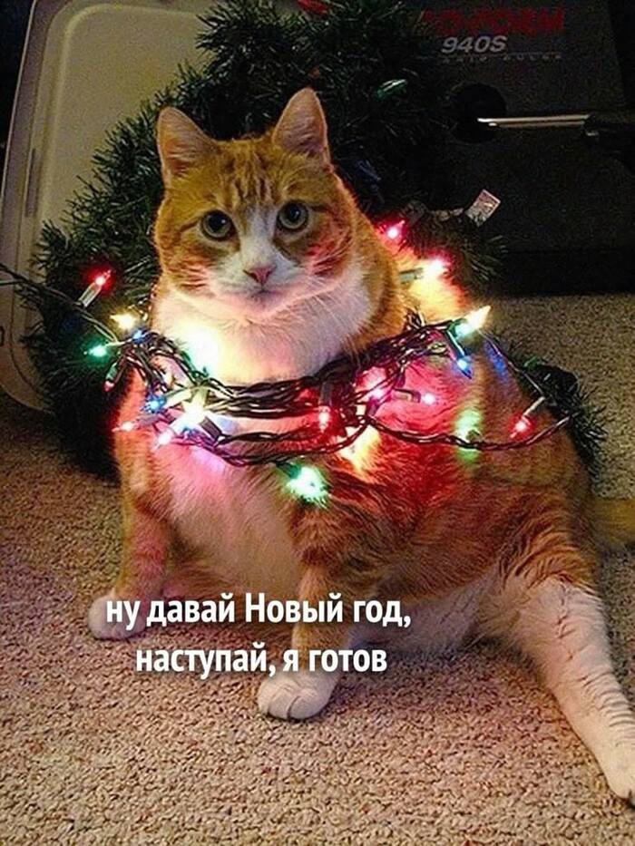 ������� ��� ������?