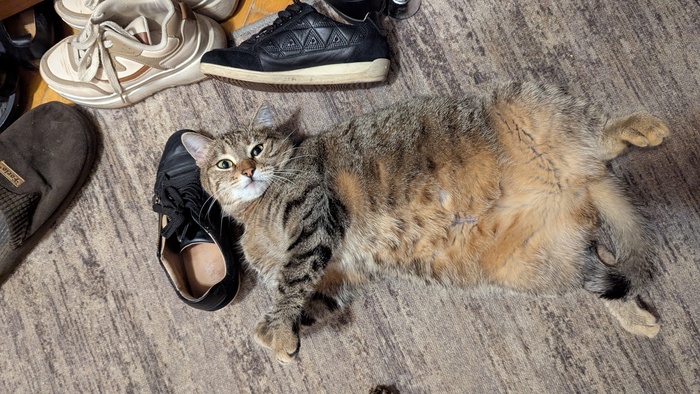 � � ��� ���� ���� �����