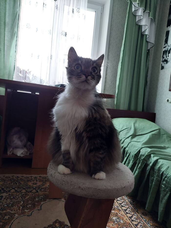 ����� �� ���� ���������� �� �� ������ ������� ���� ����. ���� � �� ��. ������� � ������ ����. �������� ���!�