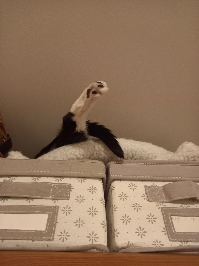 ����� �� ���� ���������� �� �� ������ ������� ���� ����. ���� � �� ��. ������� � ������ ����. �������� ���!�