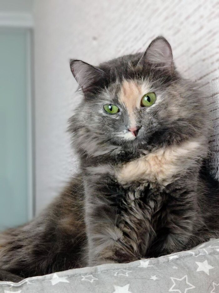 ������� ������� �����, ����� ���� ������� �������. � ����, ��� ��� ����� ��� ��������� ����� ��������� ������