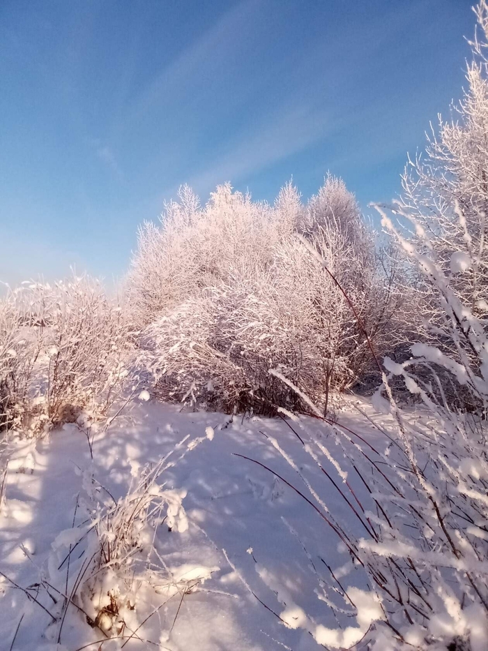 ����� �����