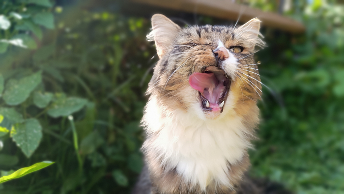 ������ ���� ����